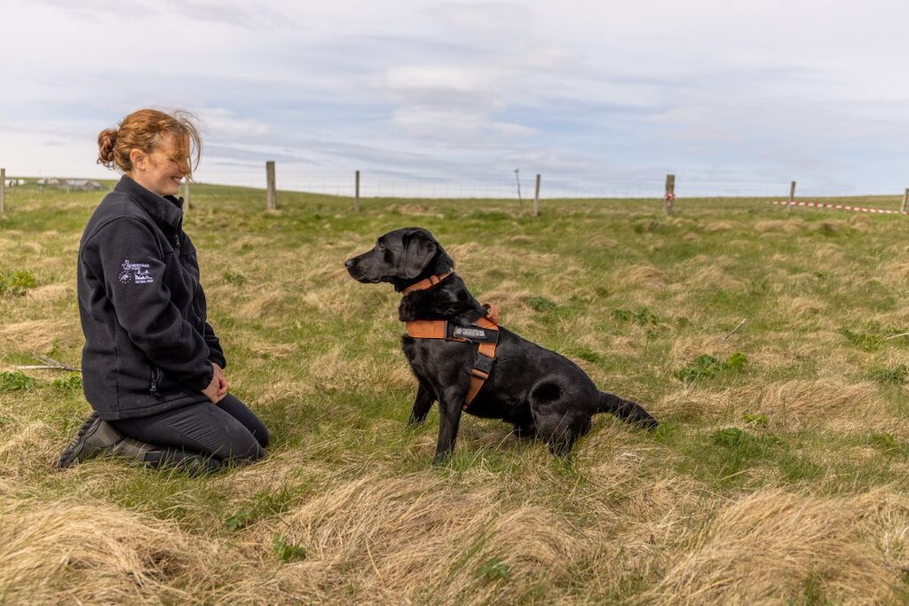 Join us at Orkney Nature Festival 2023 Orkney Native Wildlife Project