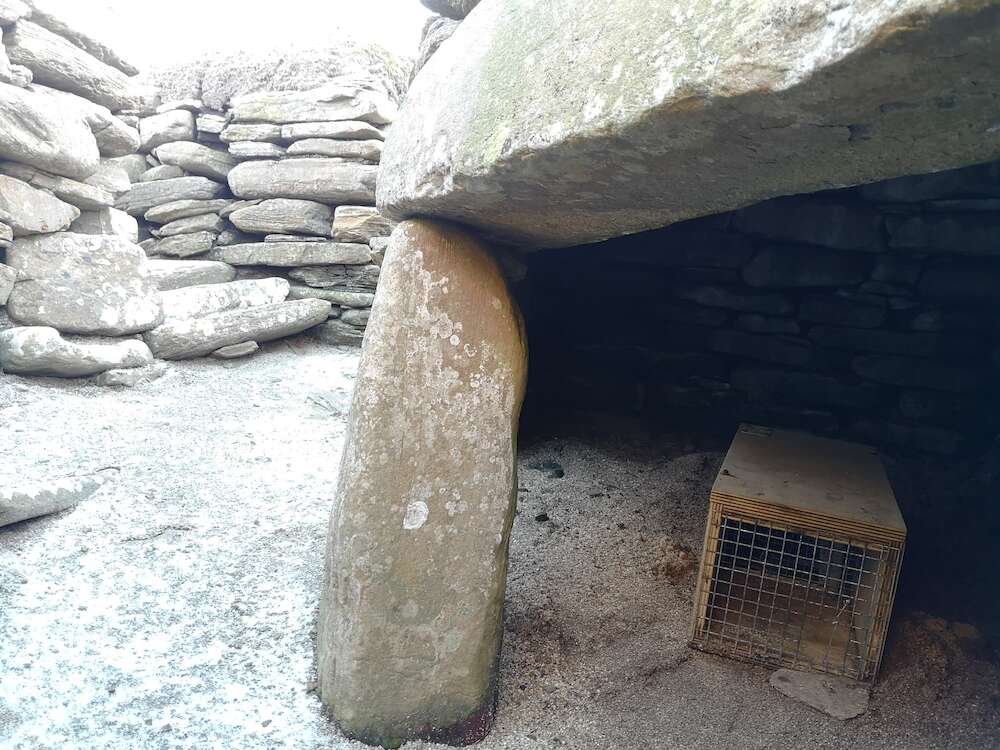 Our traps can be found at Skara Brae