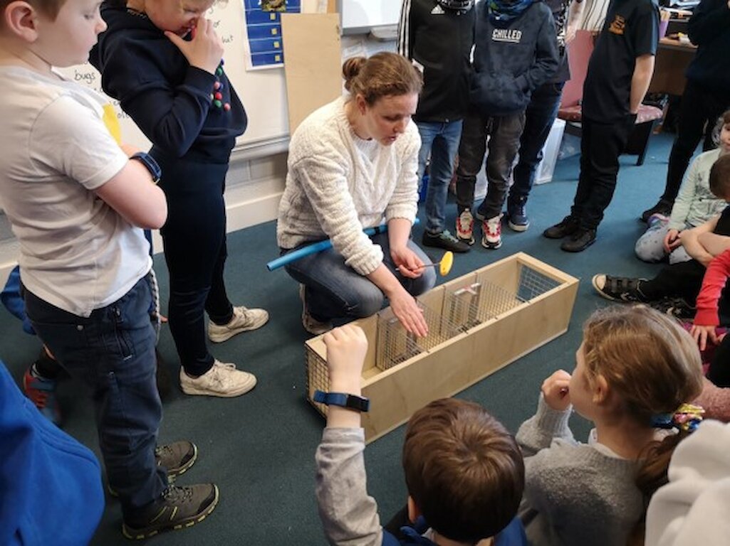 A classroom of children is shown a trap box