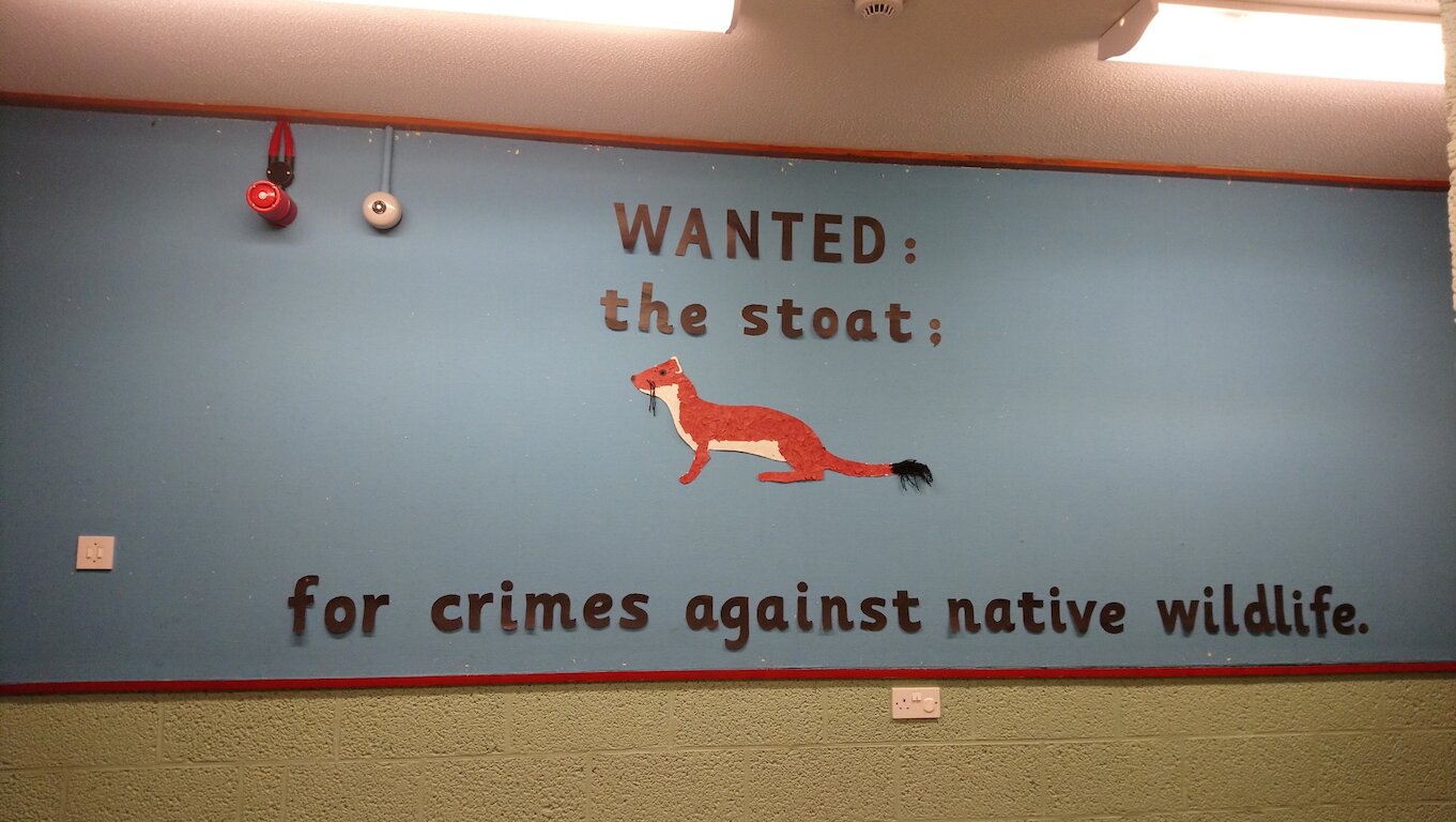 A display board at a school shows a stoat