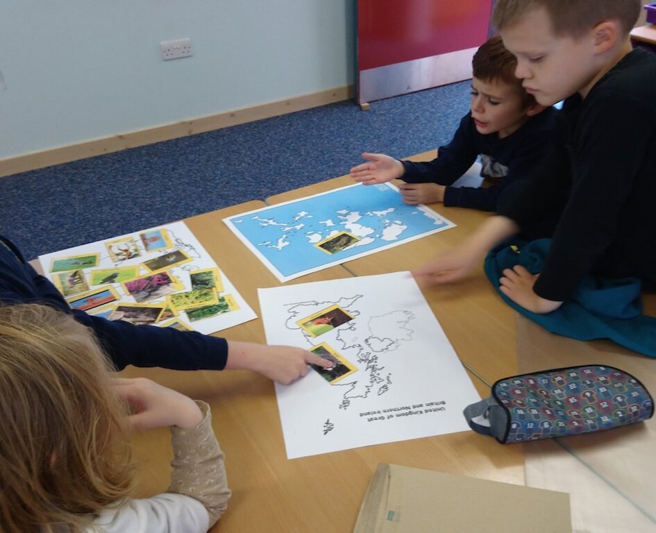 Three children look at a map of Orkney and wildlife picture cards