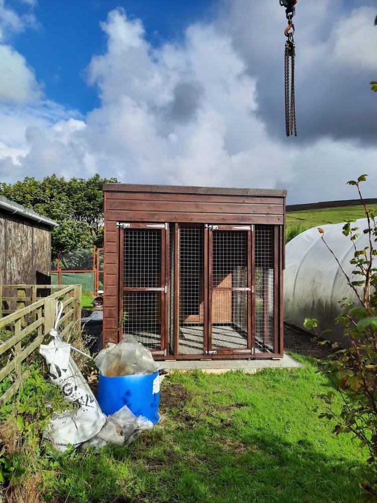 Preparations underway for the arrival of the stoat detection dogs