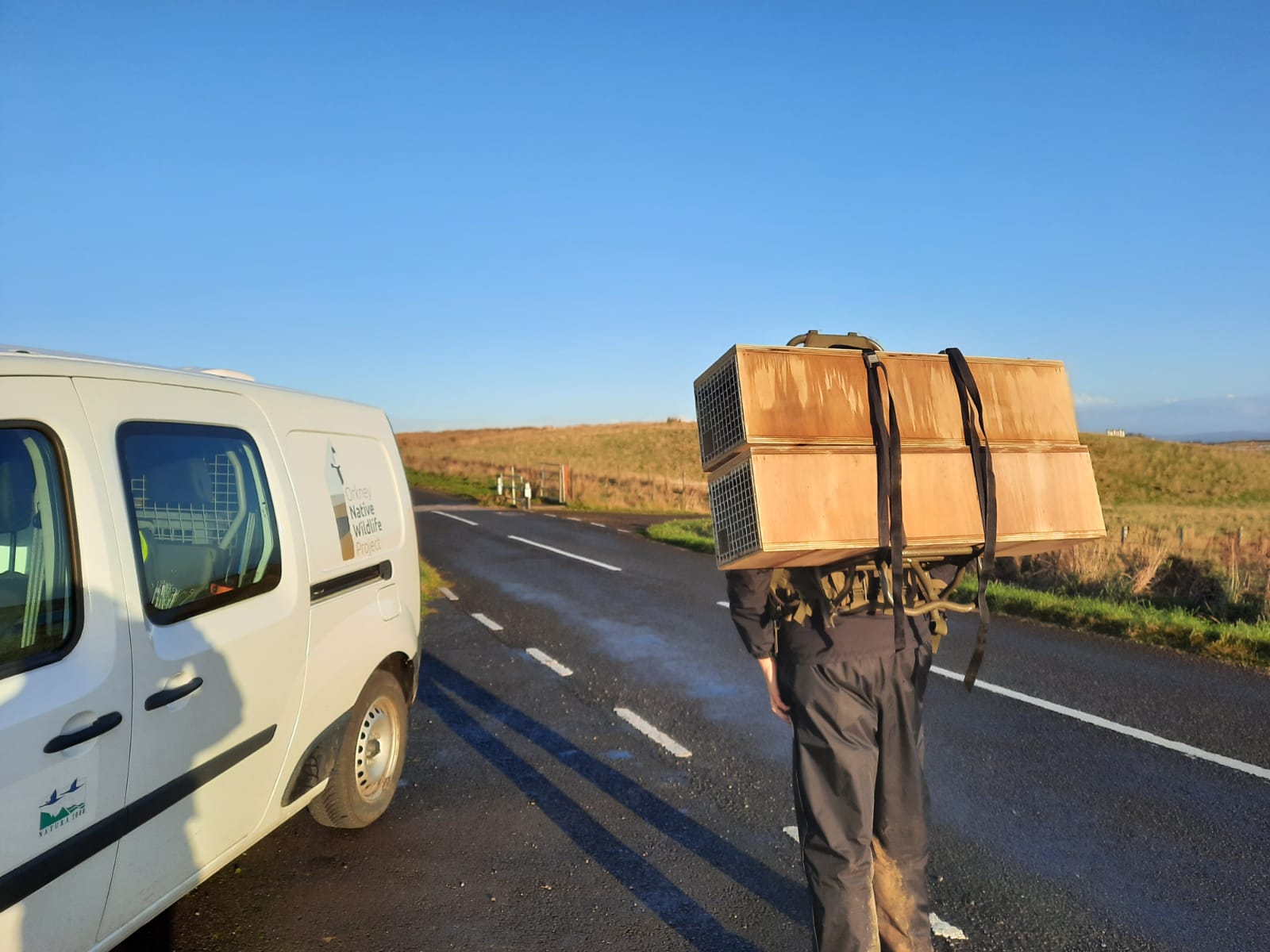 Biosecurity trap deployment in Flotta