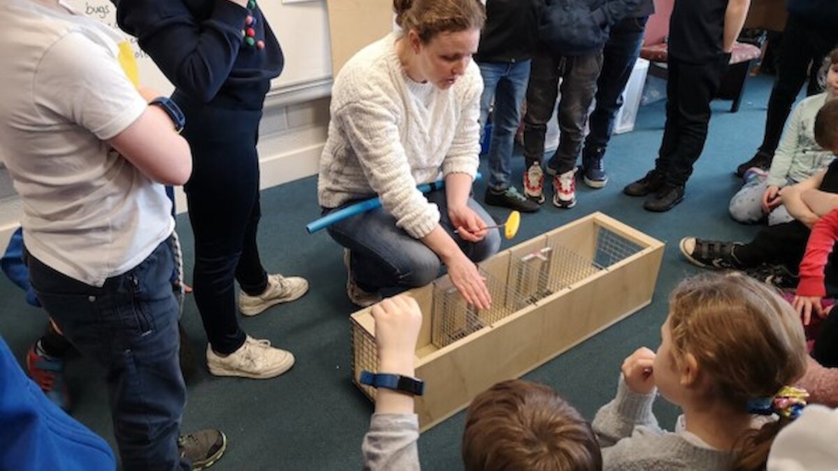 A teacher shows school children how a trap works