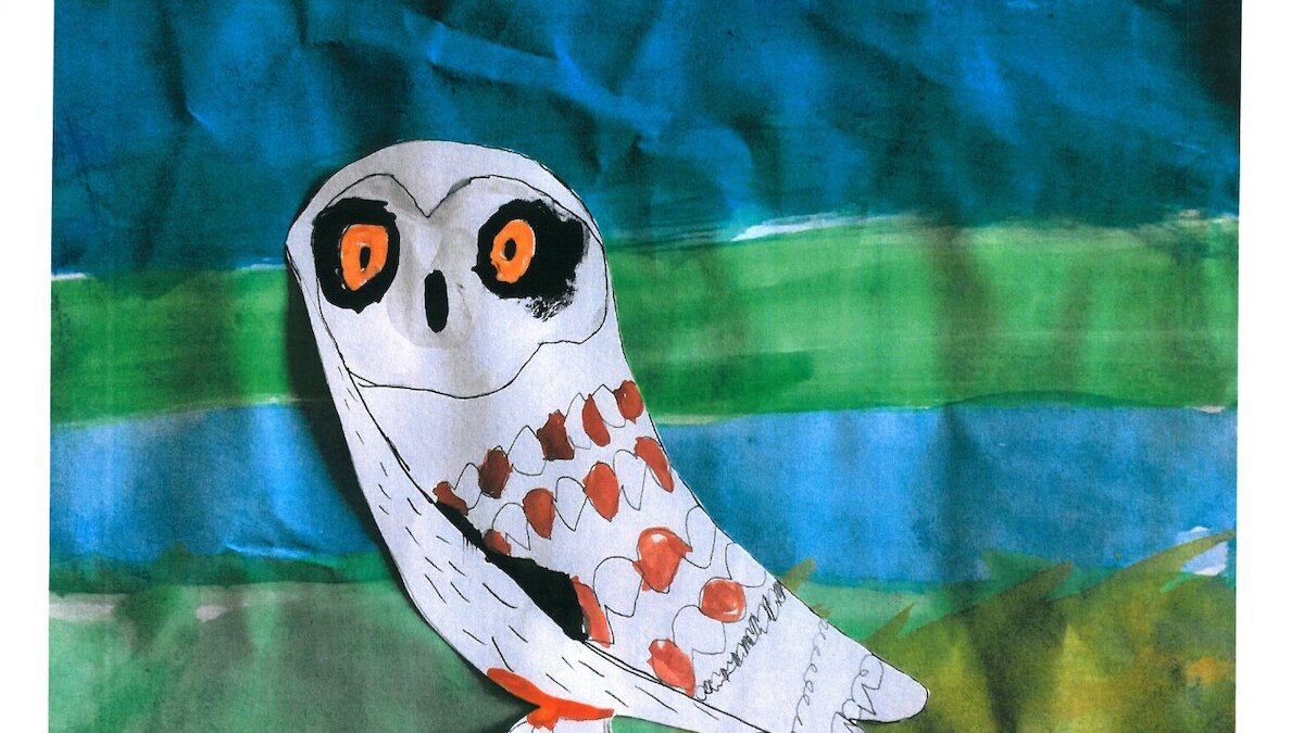 A child's drawing of an owl