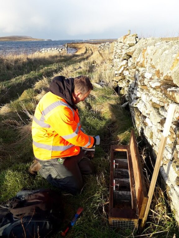 A trap box against a stone wall